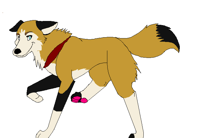 Angel's new design