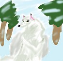 Aniu the angel