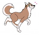 The prettiest wolfdog in Balto Source!