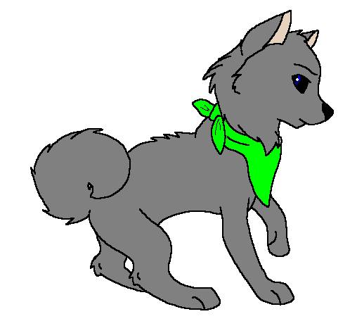 Random Dog Running