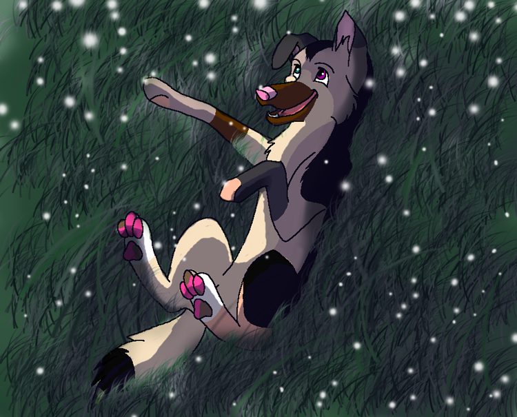 Orianne watching stars at night