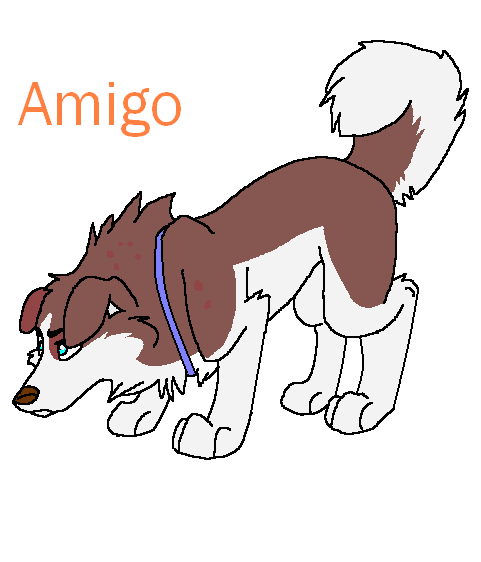 Amigo!