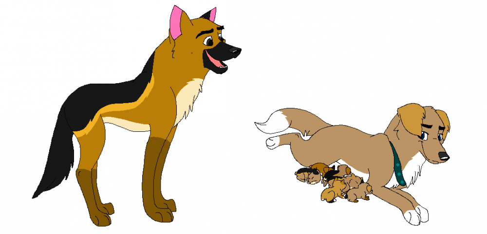 Churt and mandy with their newborn pups