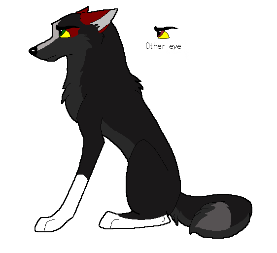 Ifaut and Geneva's Fan Pup!