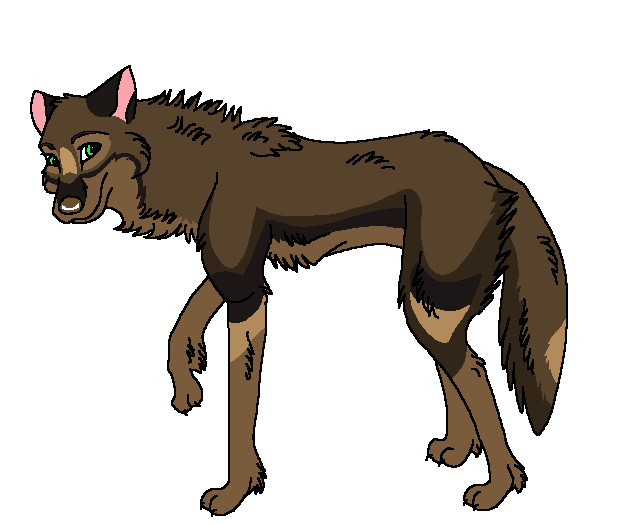 Kachina -New Style-