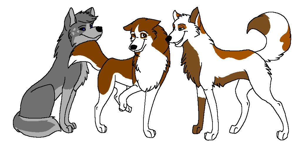 Tosha Can't Decide xD