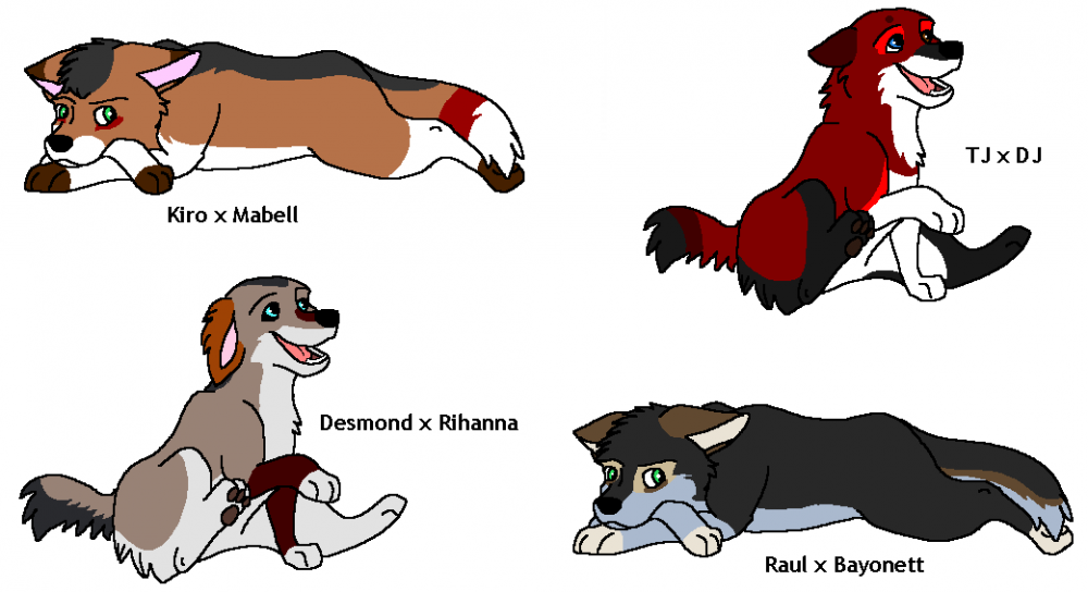 Fan Pups!