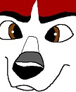 Kodi's face