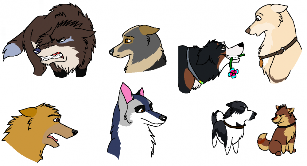 Doggies Doodles