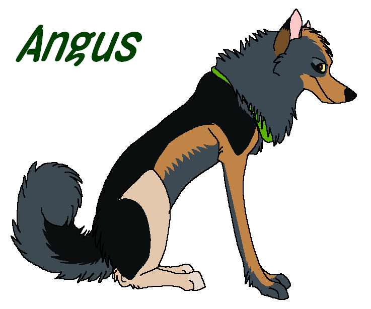 Angus