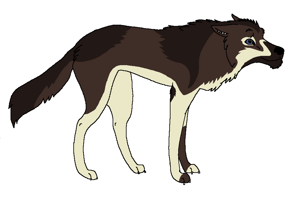 New Design 8D