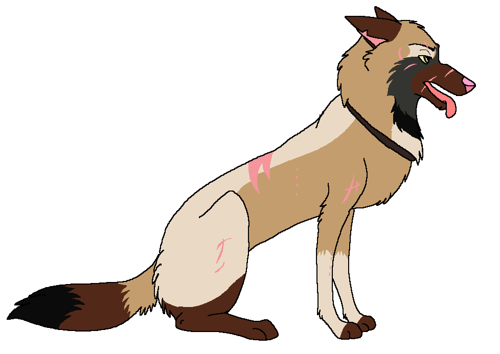 Madie Jones's New Scars