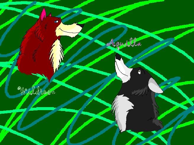 Wildrose and Aquilla with Draco style