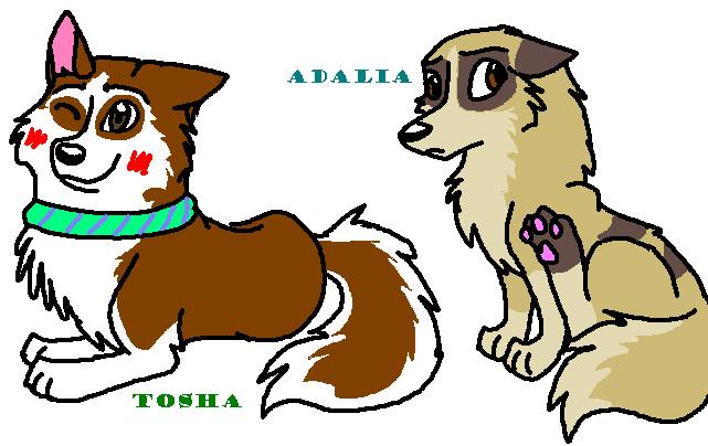 Chibi Tosha and chibi Adalia