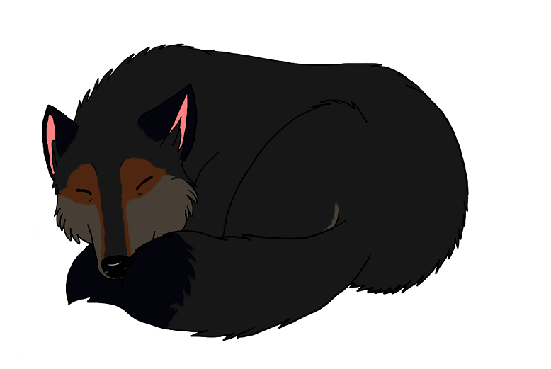 Shh...Chogan is sleeping