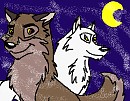 Balto and Aniu
