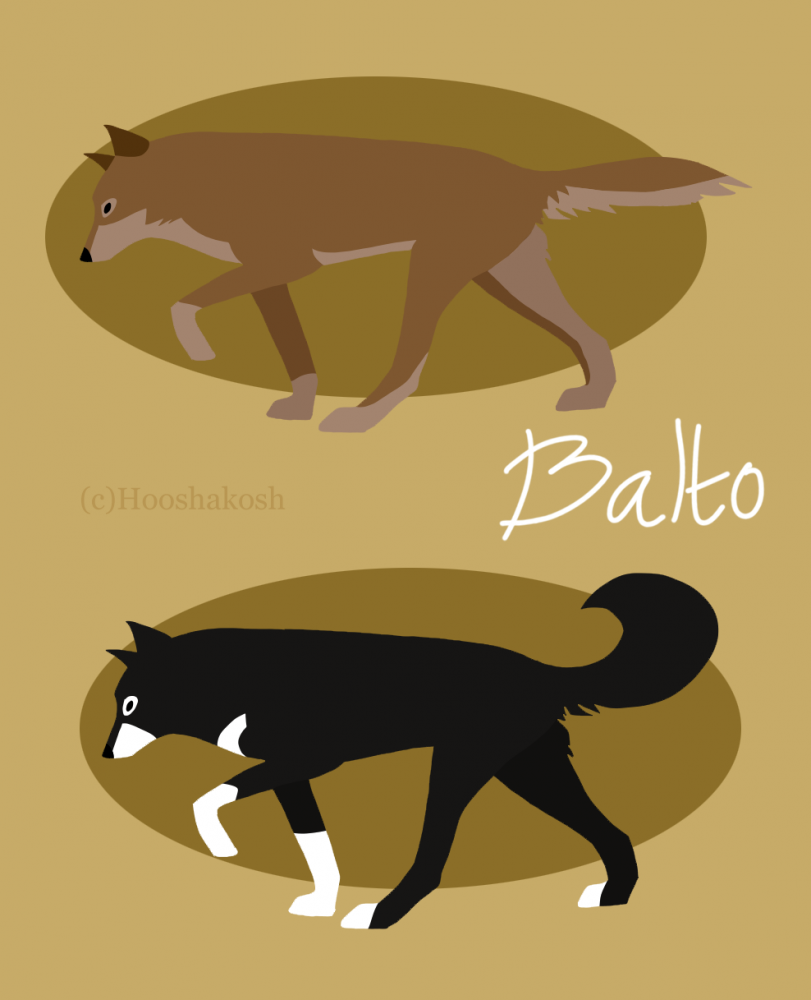 Balto The Wolfdog and Balto The Husky