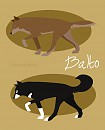 Balto The Wolfdog and Balto The Husky