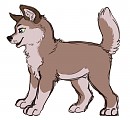 Aloo the woof