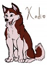 Kodiak Kiddo