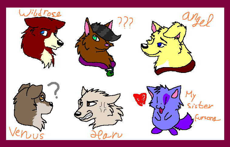 Doggies