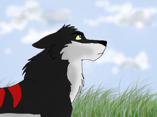 Kirana (older)