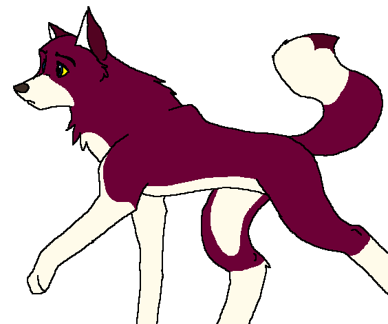 The new Julian design