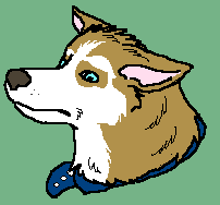 Husky head pic