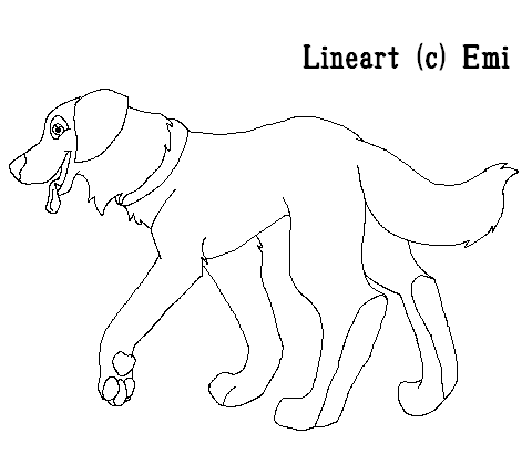 Golden Retriever lineart