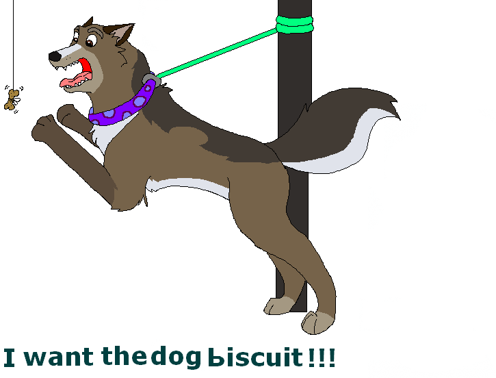 I want the dog biscuit!!!
