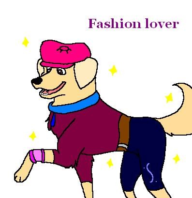 Fashion lover