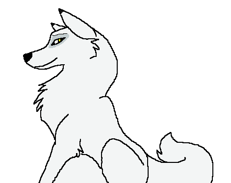 Thied Animation -Aniu-
