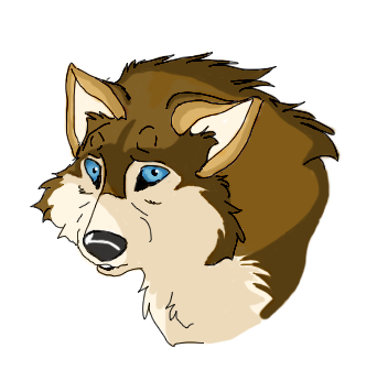Wolf Face Practise