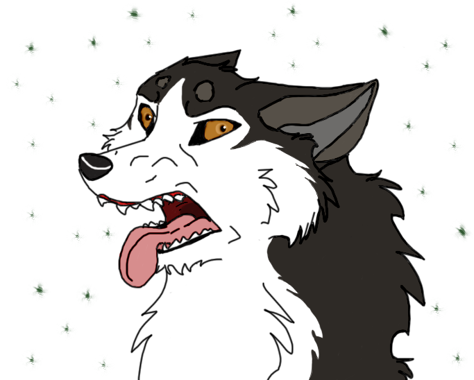 Another Wolf face Practise