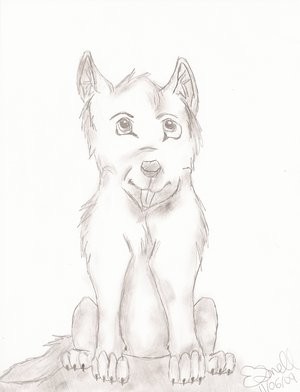 Wolf Pup Sketch