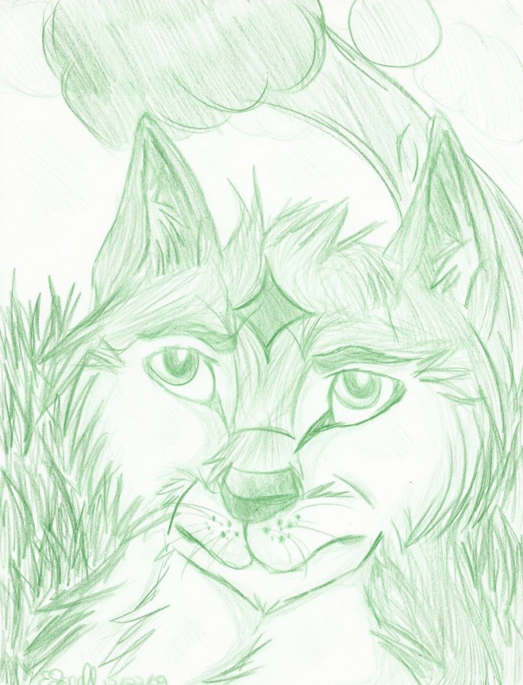 Forest Guardian