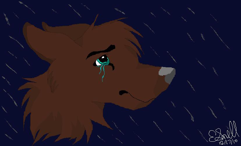Paint Practice