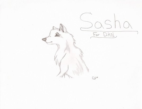 Gift for D.kid - Sasha