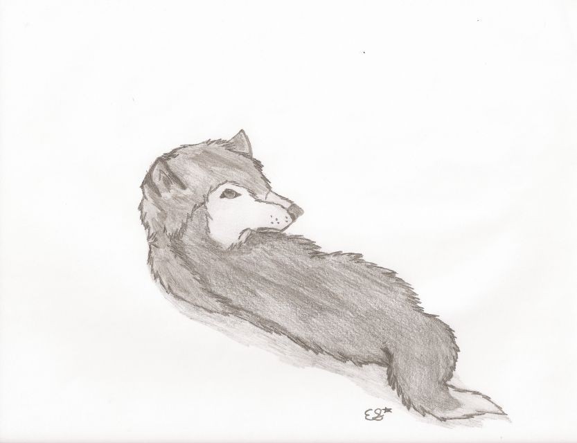 Request for Allie263