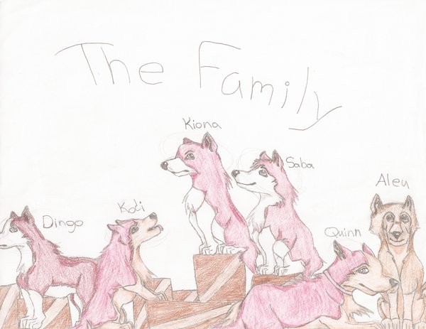 The Family