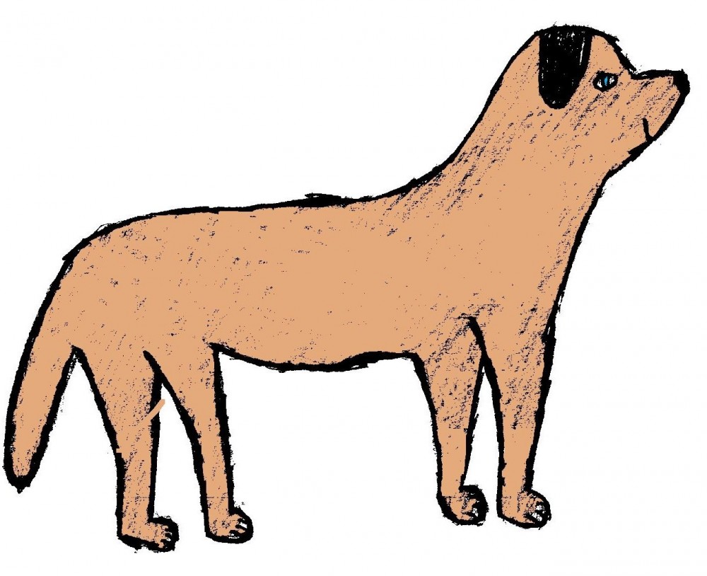 lab