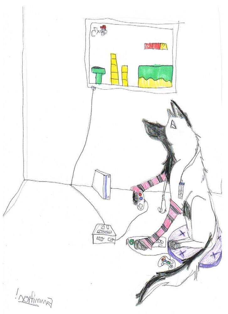 Nemmerlii