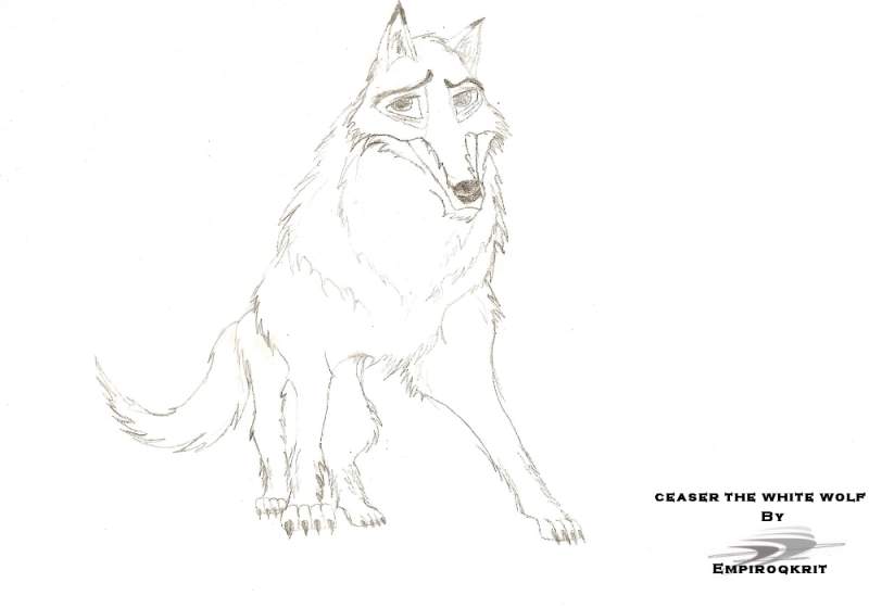 Ceaser The White Wolf