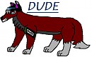 Dude