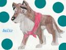 balto
