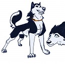 first steele sketch