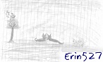 Erin527