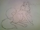 Old pose sketch