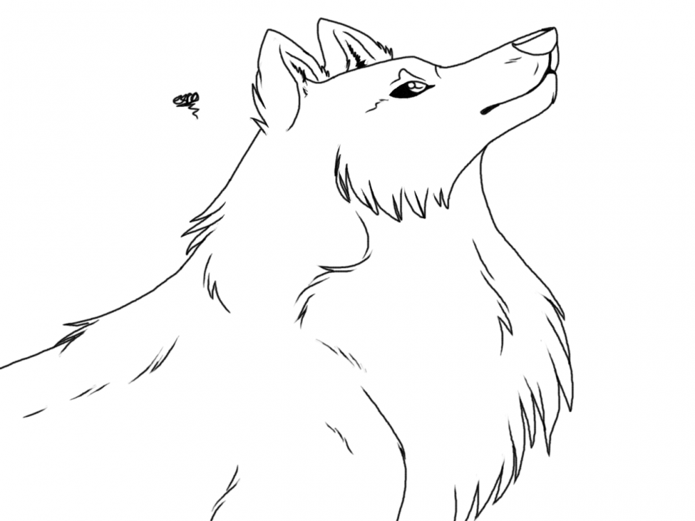She Gazes 