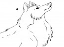 She Gazes 